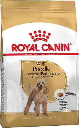 Корм для дорослих собак породи Пудель ROYAL CANIN POODLE ADULT 0.5 кг Київ