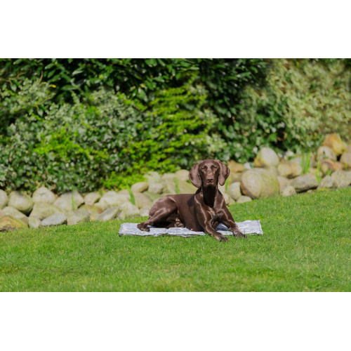 Охолоджуючий килимок Trixie м який XXL 110 х 70 см сірий Київ - фото 6