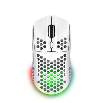 Мышка Trust GXT 929 Helox Wireless/USB-A White (25390) Винница