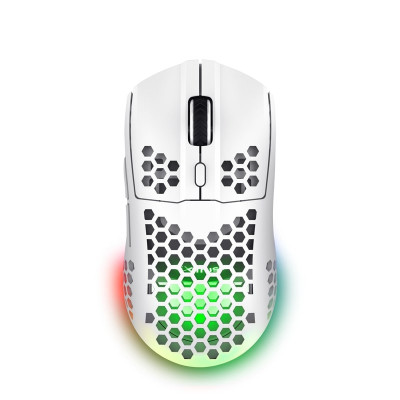 Мышка Trust GXT 929 Helox Wireless/USB-A White (25390) Винница - изображение 1