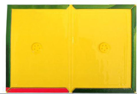 Мишоловка липка TG-21, 12 х 17 см Винница - изображение 1