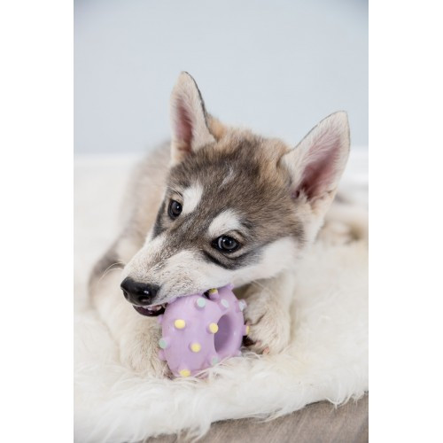 Игрушка Trixie Кольцо игольчатое для собак, d:8 см (латекс) Винница - изображение 8