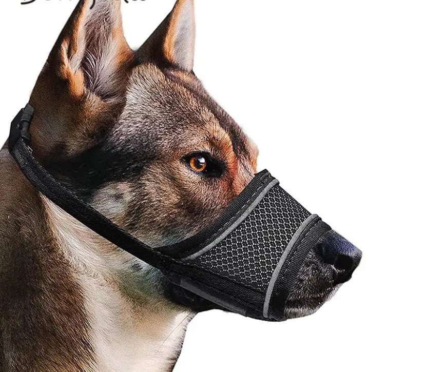 Намордник для собак сітка 14248 Луцк - изображение 2