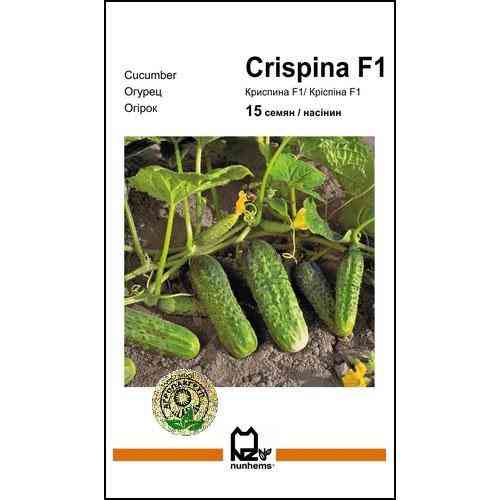 Насіння огірка Кріспіна F1 15 сем., Nunhems, Голандія Вінниця