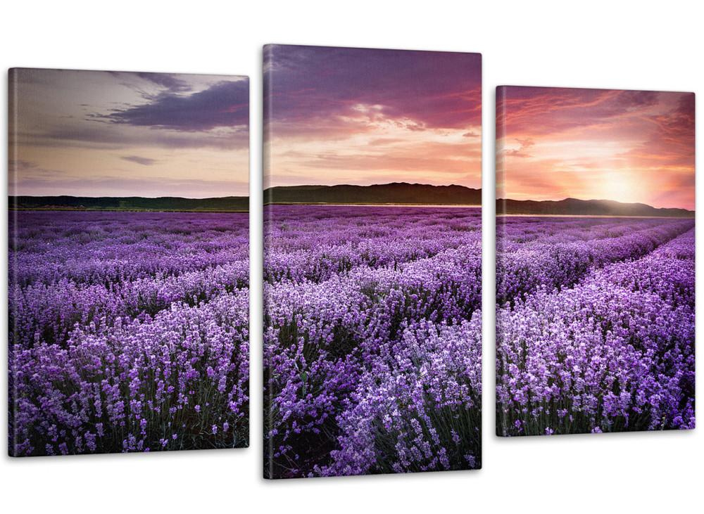 Модульна картин Прованс Лавандове поле Art-185_3 100x150 см Київ - фото 1
