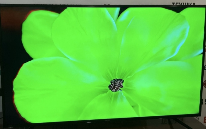 Телевизор Samsung 55 