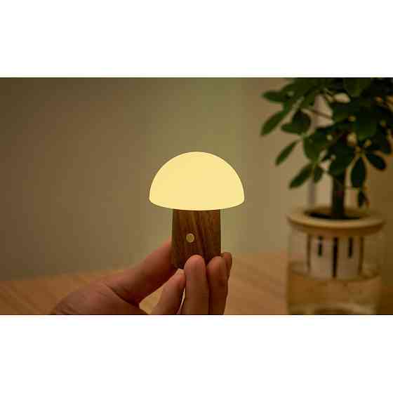 Світильник на акумуляторі Gingko Alice Mushroom Lamp Super Mini RGB 65 мм (Орех) Київ