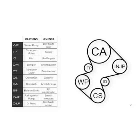 Ремкомплект Citroen C5, Peugeot 406 2.2HDI 00- (ремінь, ролики, помпа) - ГРМ Мукачево