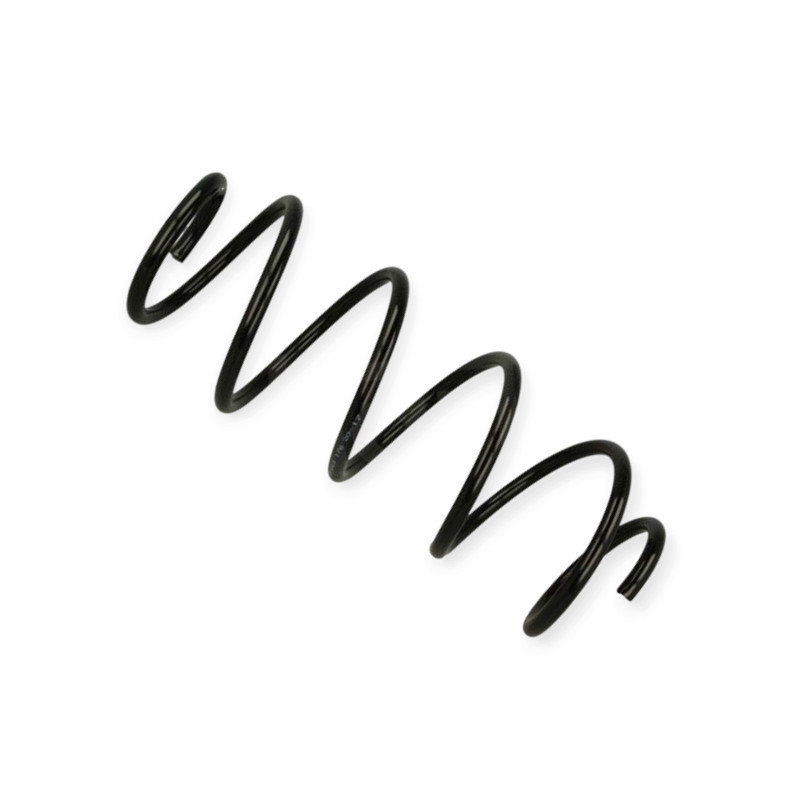 Пружина Ford Fiesta V 1.25, 1.3, 1.4, 1.6 (01-08) передняя Мукачево - изображение 1