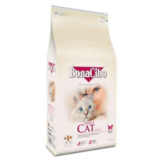 BonaCibo Adult Cat Chicken Rice with Anchovy (Бонасибо Едалт Кет Курка Рис і Анчоуси) сухий корм для котів Запоріжжя