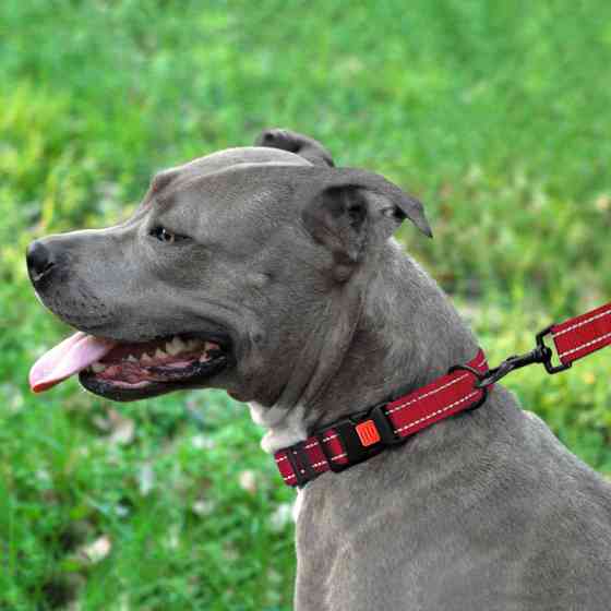 Нашийник для собак нейлоновий світловідбивний BronzeDog Active з пластиковою пряжею (фастекс) червоний XL Одеса