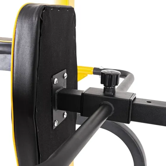 Багатофункціональна стаціонарна стійка для підтягувань inSPORTline Power Tower PT250 Чорна Київ