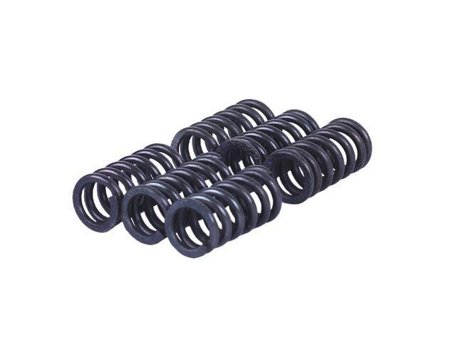 Пружини натискного диска, к-т: 6 шт. - MFC Мукачево - фото 1