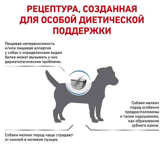Ryal Canin Hypoallergenic Small Dog (Рояв Канін Гіпоалерженік Смол Дог) корм для собак до 10 кілограмів при алергії 1 кілограм. Запоріжжя