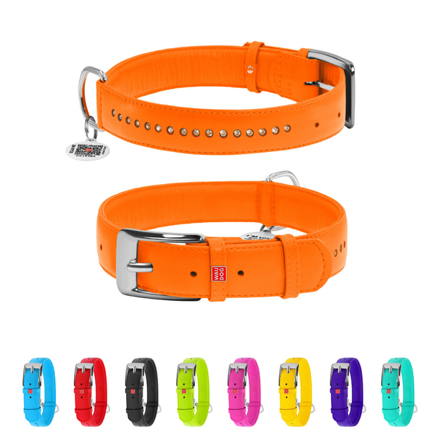 Нашийник для собак шкіряний WAUDOG Glamour з QR паспортом, подвійний зі стразами, XL, Ш 35 мм, Коломыя - изображение 1