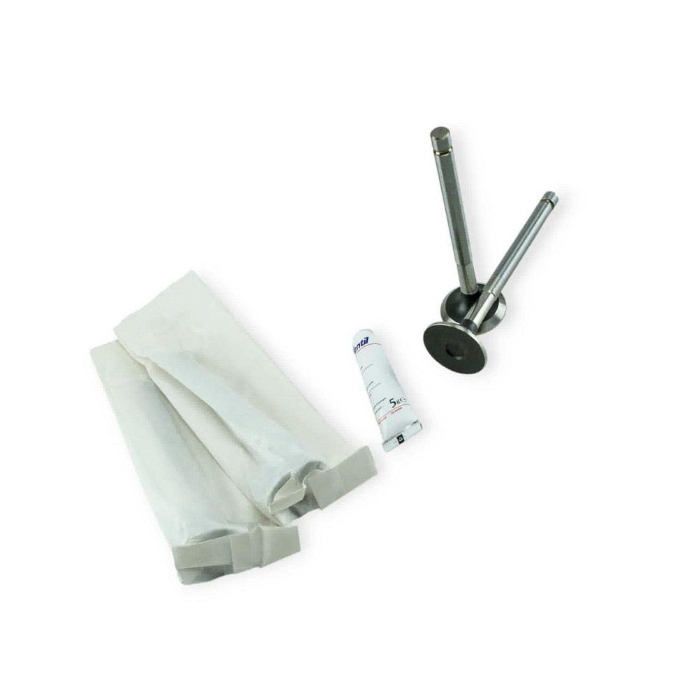 Клапана випуск (Z224) 2101 Мукачево - фото 1