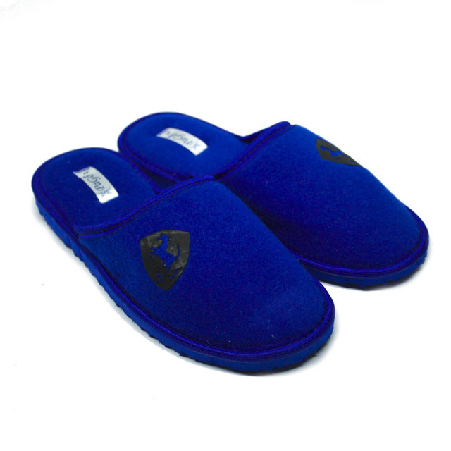 Капці підліткові хлопчик домашні кімнатні PaGo "Ferrari" Сині 38 Одеса - фото 1