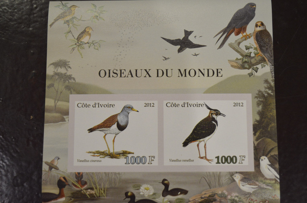 Кот-д’Ивуар. Фауна. Марки. Блок. 2012 год (И) Полтава - изображение 1