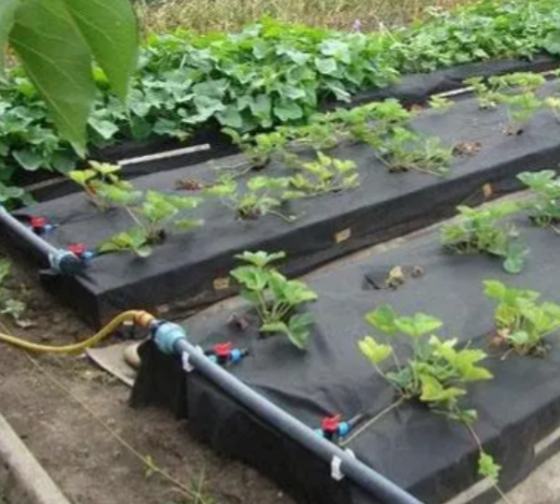 Кран стартовий з піджимом для стрічки крапельного поливу Дніпро