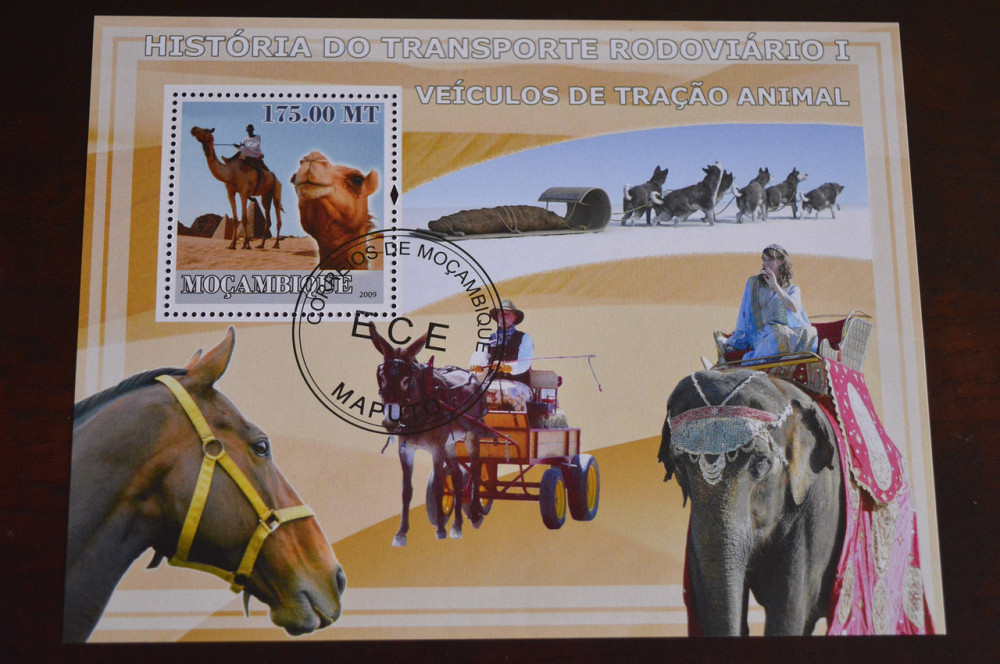 Мозамбік. Малий аркуш. 2009 рік. Фауна (Б) Полтава - фото 1