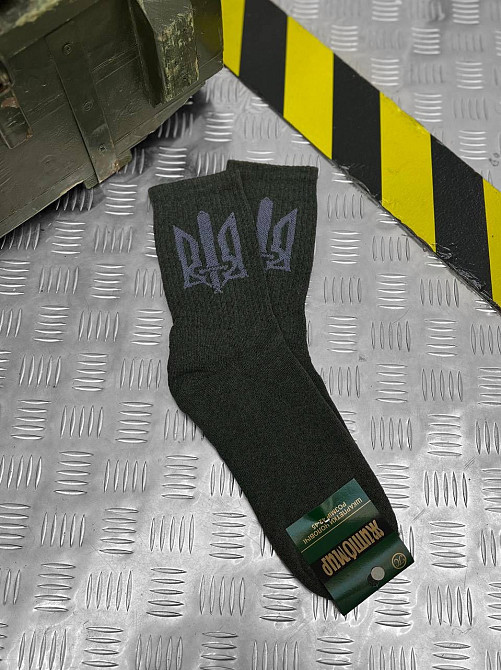 Трекинговые  мужские носки с гербом ВТ7628 Одесса - изображение 7