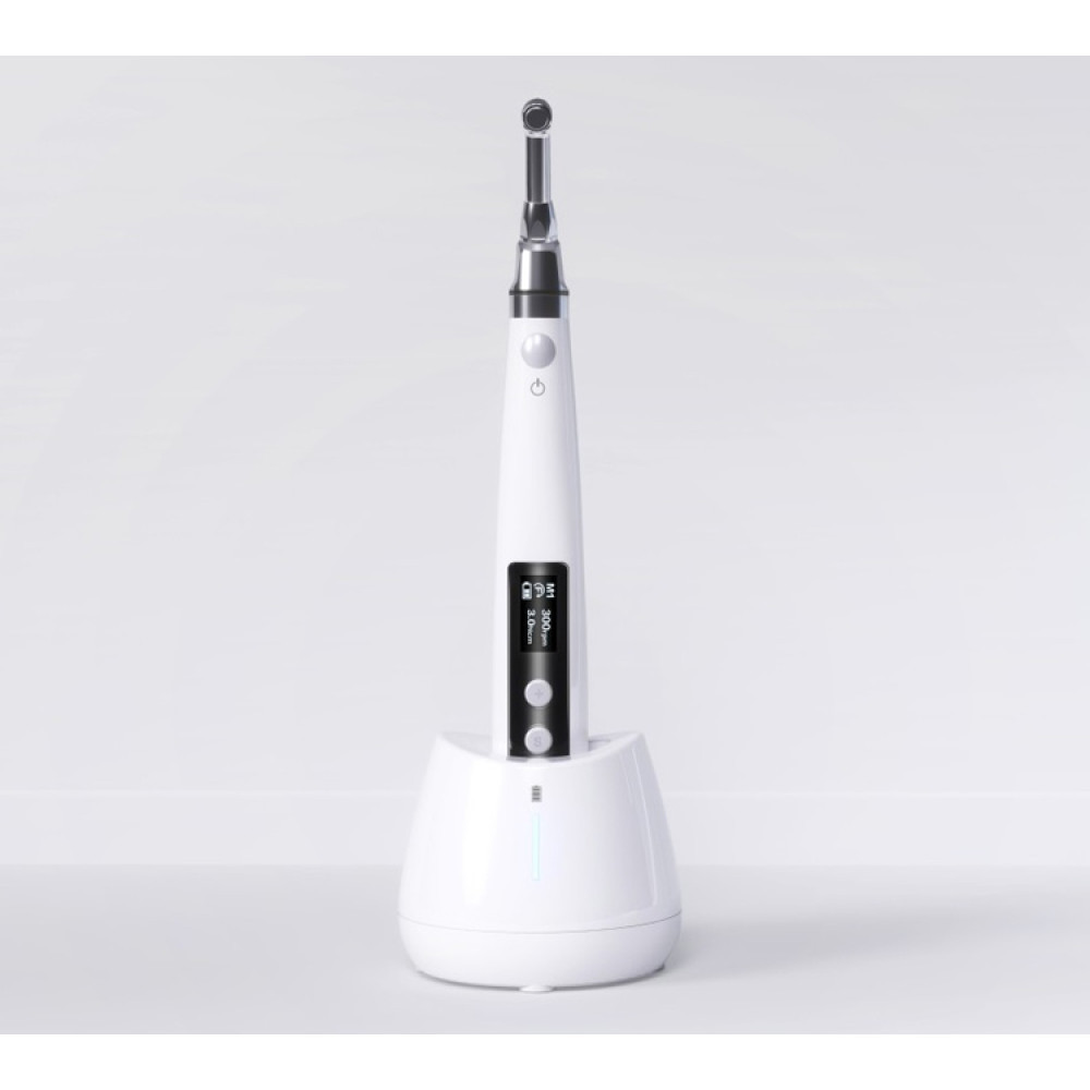 Эндомотор E-COM + Днепр - изображение 1