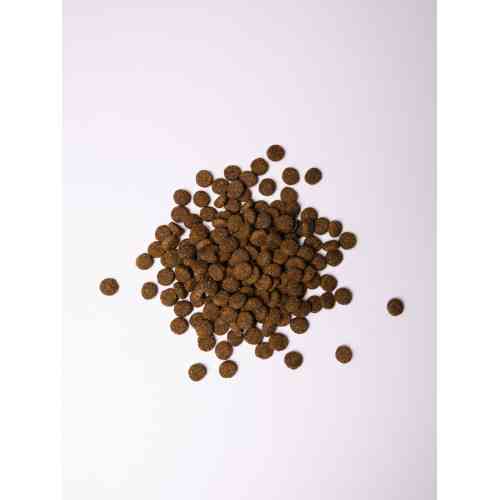 Корм сухий Savory Junior Large rich in Fresh Turkey and Chicken для молодих собак великих порід від 25 кг зі свіжою індичкою Київ