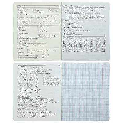 Зошит ZiBi предметний CRAZY CAT 48 аркушів клітинка, алгебра (ZB.1703-06) Вінниця - фото 2