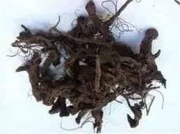 Корень чистотела, 75г master sem Киев - изображение 1