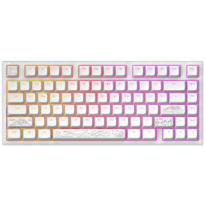 Клавіатура Dark Project ALU81 Terra Nostra PBT RGB Mech G3MS Moonstone White (DPKB_NOSTRA_81_ANSI_WHITE_UA) Вінниця