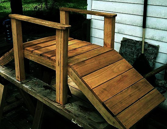 Садовий місток "Бакарен" мускат Миколаїв - фото 1