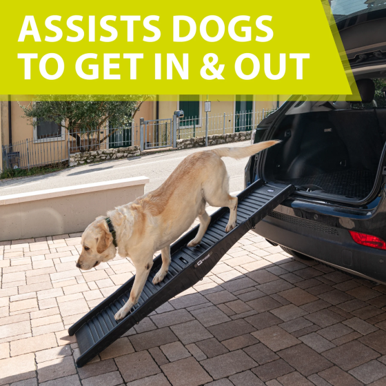 Пандус для собак Ferplast Dog Ramp (Ферпласт) до 50 кг складний Запоріжжя