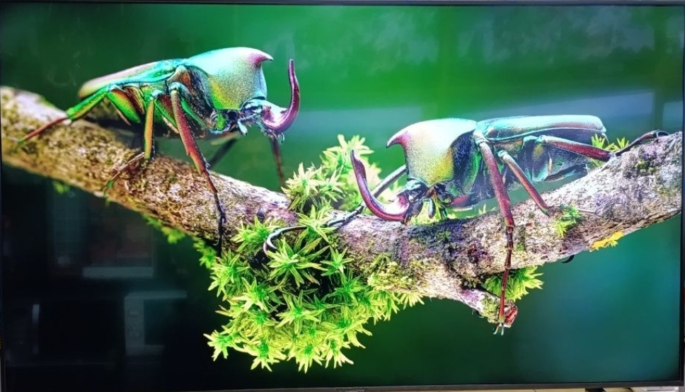 Телевизор Samsung 55