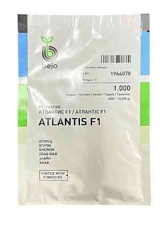 Семена Огурец Атлантис F1 (1000 семян), Bejo Zaden Винница