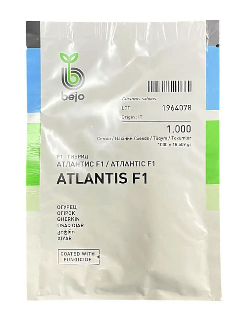 Насіння Огірок Атлантіс F1 (1000 насінин), Bejo Zaden Вінниця - фото 1