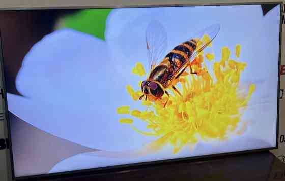 Телевізор Samsung 65" Київ