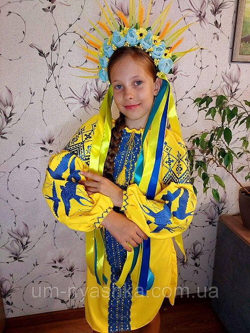 Дитяча вишита сукня з ластівками 104-152 Кривой Рог - изображение 3