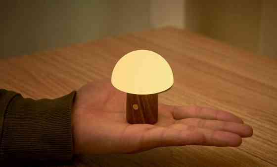 Світильник на акумуляторі Gingko Alice Mushroom Lamp Mini, горіх | G022WT2 Рівне