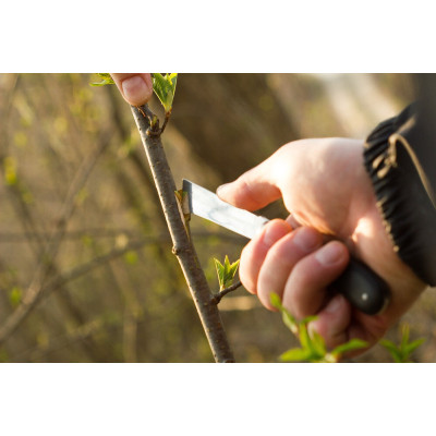 Ніж монтажний Cellfast садовий для окулірування, 220 мм (40-262) Вінниця - фото 2