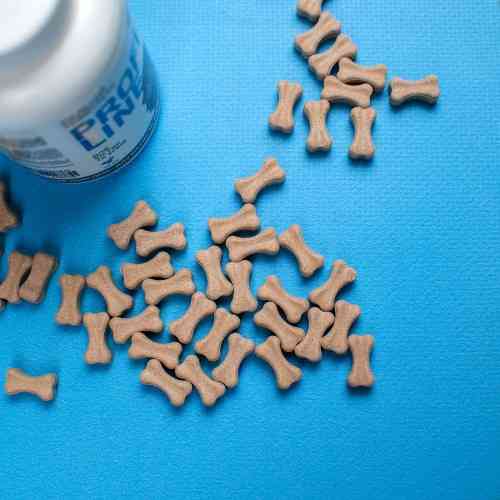 Вітаміни Provet PROFILINE для собак КАЛЬЦІЙ комплекс для кісток та зубів 100 таблеток Київ