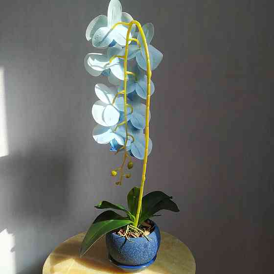 Штучна латексна орхідея VIP у синьому керамічному кашпо на одну блакитну гілку Дніпро
