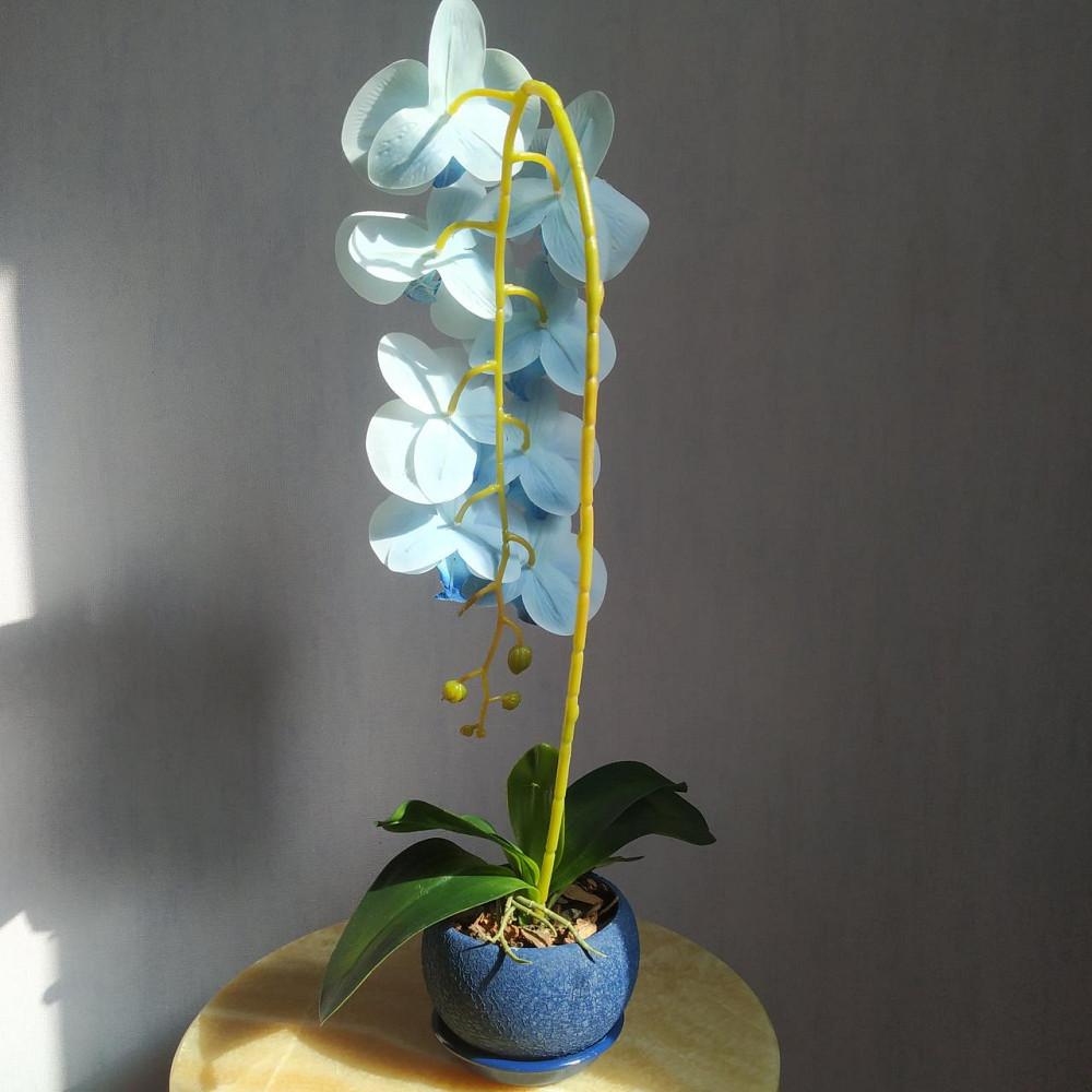 Штучна латексна орхідея VIP у синьому керамічному кашпо на одну блакитну гілку Дніпро - фото 5