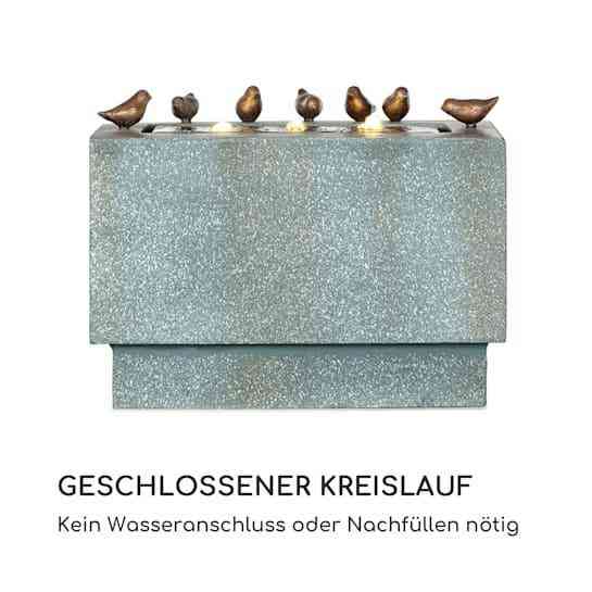 Фонтан в саду водоплавающих птиц  Waterbirds   Германия Ровно