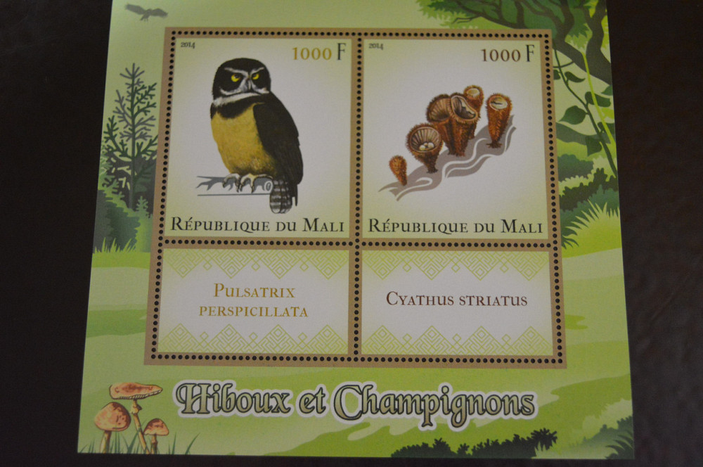 Мали. Фауна. Блок. 2014 год (А-20) Полтава - изображение 1