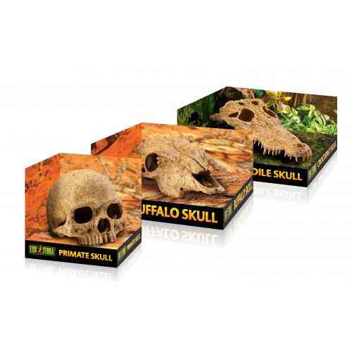Декорация Exo Terra Череп человека для пластикового террариума Киев