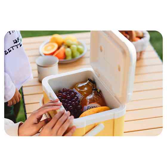 Туристичний холодильник Naturehike CNK2450CF012, 5 л, бежевий Київ