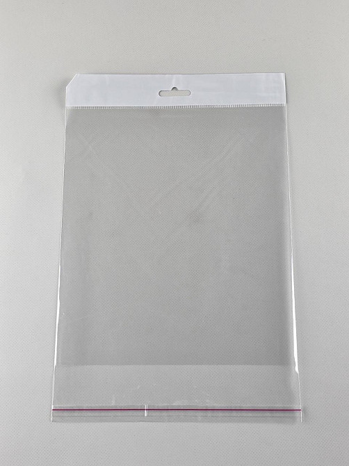 Пакеты полипропиленовые с еврослотом клапаном и липкой лентой 20*23+4\25мк +скотч(+еврослот3,5) (1000 шт) Харьков - изображение 1