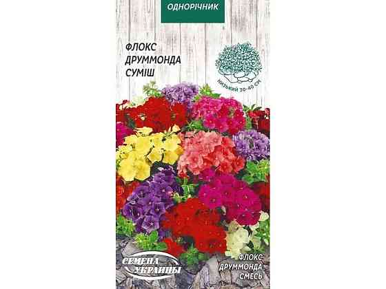 Флокс Друммонда (суміш) ОД 0,2г (10 пачок) ТМ СЕМЕНА УКРАИНЫ   Solmir Київ