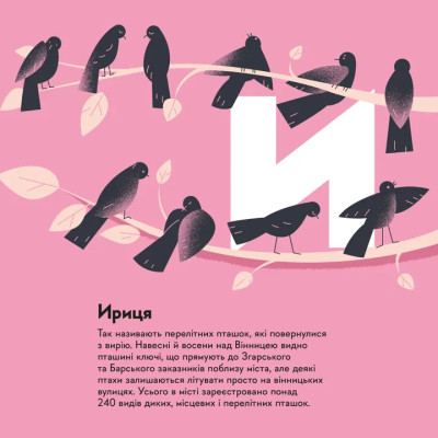 Книга Книжечка-мандрівочка. Вінниця Видавництво Старого Лева (9789664484012) Вінниця - фото 5