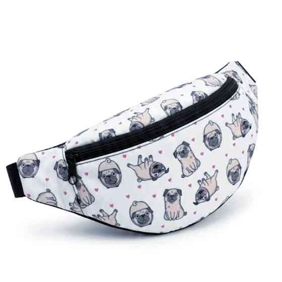 Сумка дитяча банка поясна сумка мопс Київ